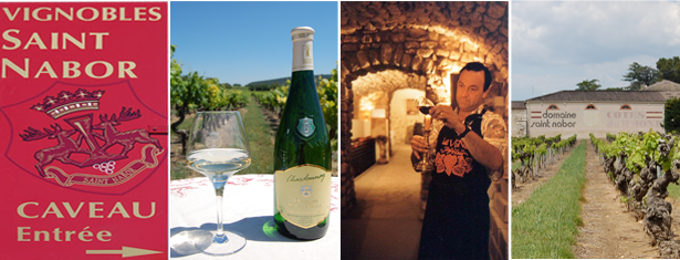 wine home page image