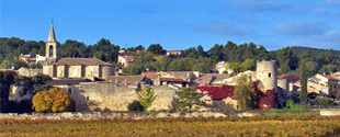 red wines